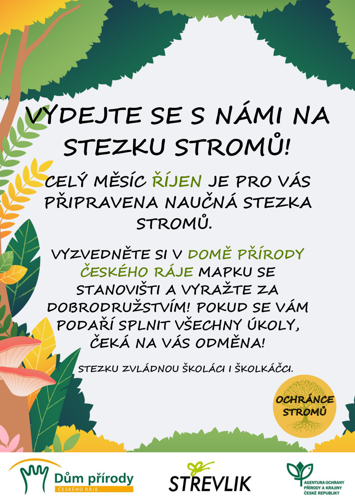 Pozvánka na stezku stromů