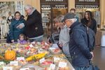 LFJ_2023_Výstava staré krajové odrůdy (3)