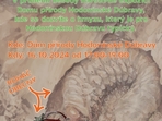 Mrtvé dřevo žije