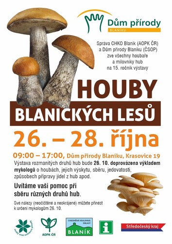 HOUBY VÝSTAVA 2024