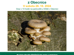 Do lesa na houby z Obecnice Do lesa na houby z Obecnice