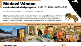edukace_vanoce