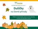 Dušičky