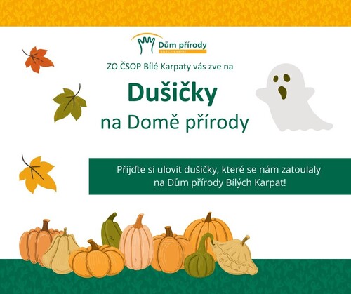 Dušičky FB