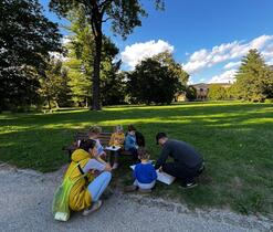 Piknik v parku