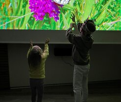 3D film