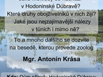 Život v mokřadech Hodonínské Dúbravy