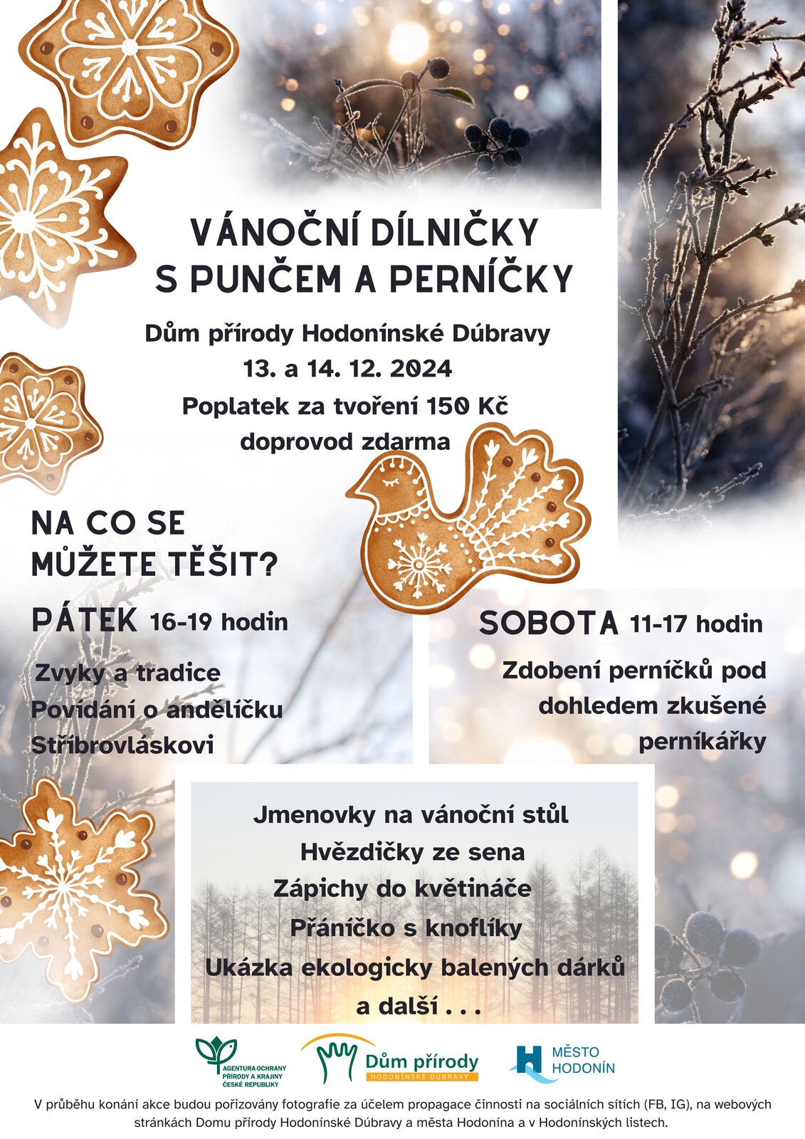VÁNOČNÍ DÍLNIČKY S PUNČEM A PERNÍČKY