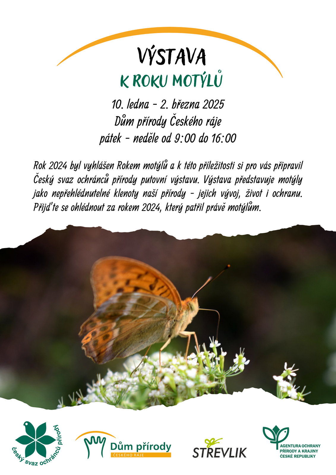 Pozvánka na Výstavu k Roku motýlů