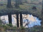 Klimatická změna v Beskydech - I.část