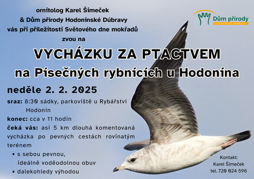 Ornitologická vycházka