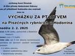Vycházka za ptactvem