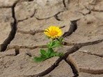 Klimatická změna v Beskydech - II.část