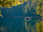Klimatická změna a její vliv na populace obojživelníků – A co s tím? Klimatická změna a její vliv na populace obojživelníků – A co s tím?