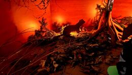 Tajemný život po setmění