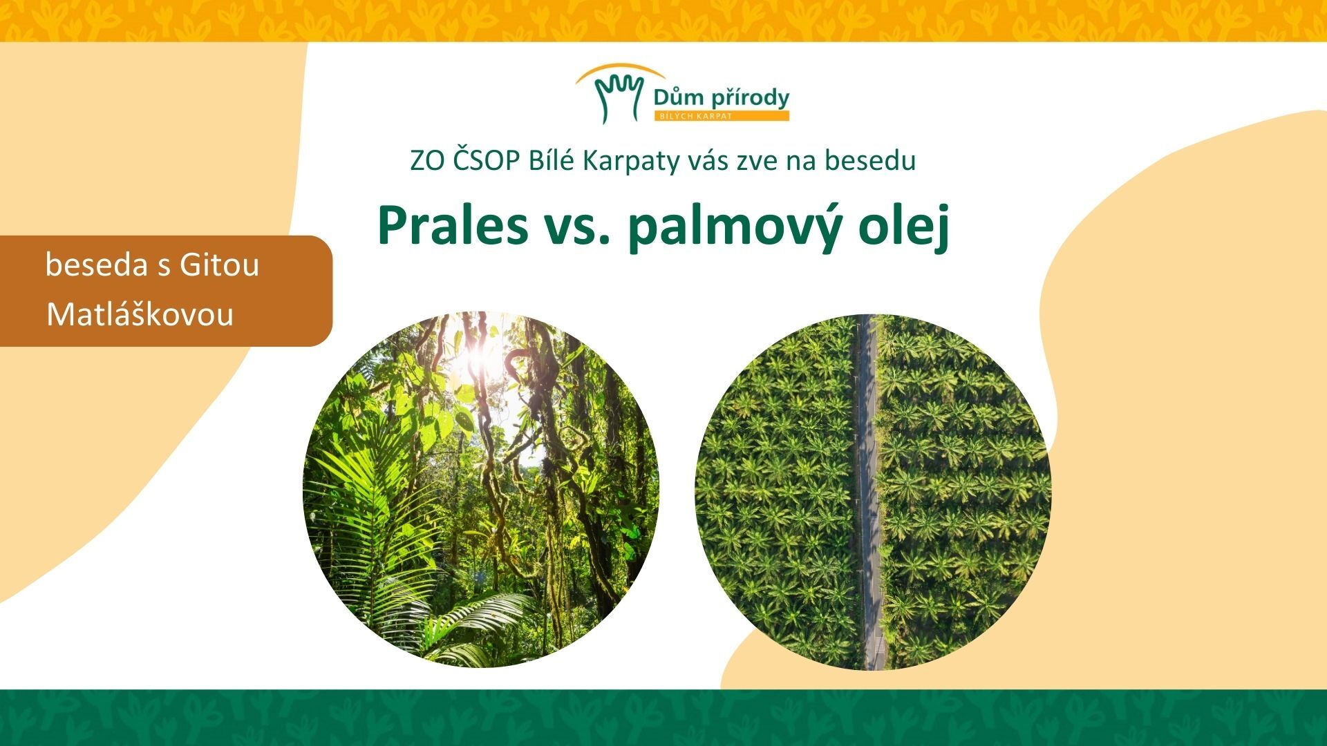 Prales vs. palmový olej