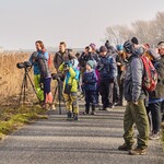 2025-01-31_29 2025-01-31_29