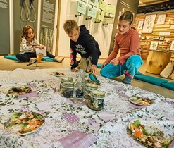 Edukační program - Dudek a jeho sousedé