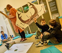 Edukační program - Hmyzí mikro/makro