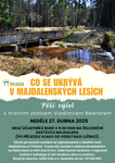 Co se ukrývá v majdalenských lesích