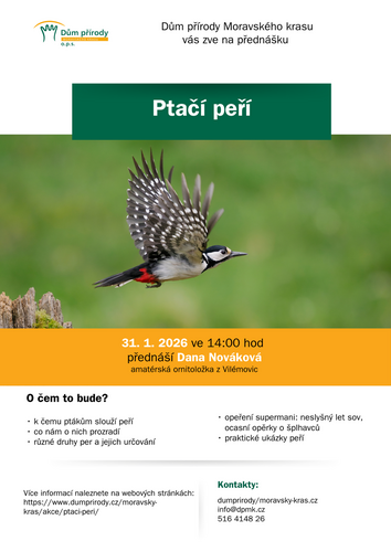 Ptačí peří 2026 Ptačí peří 2026