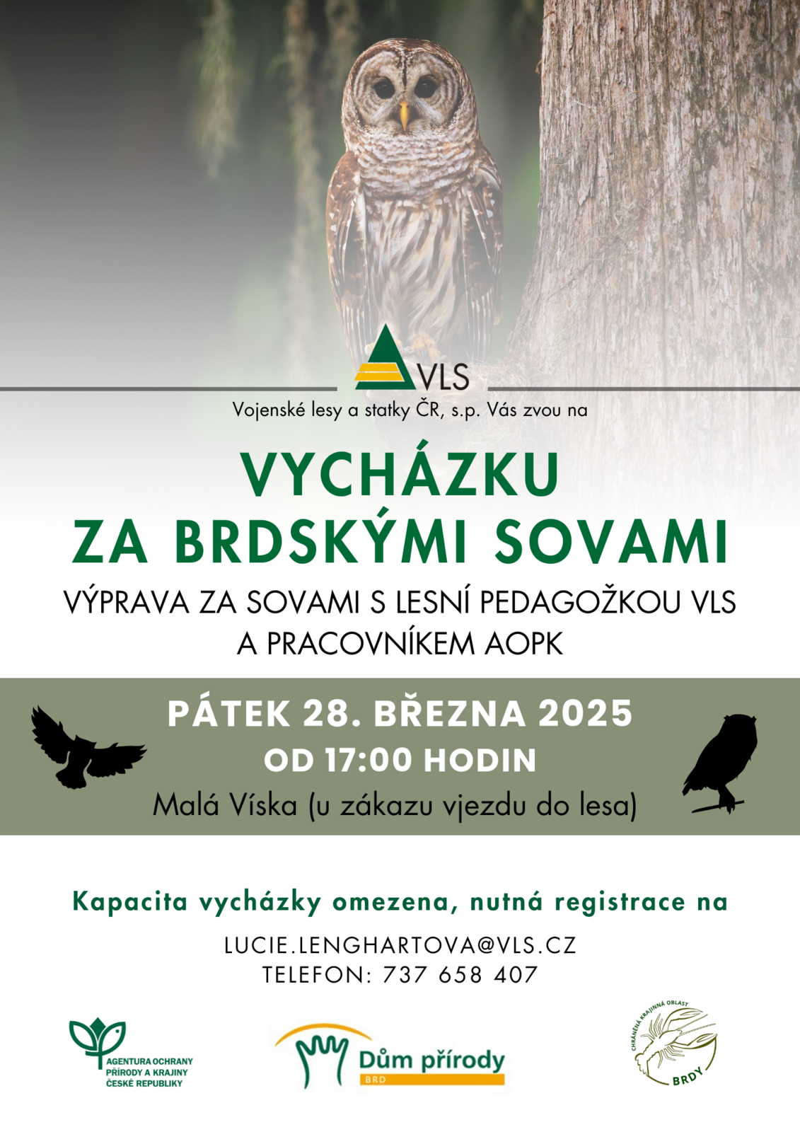 Vycházka za sovami 2