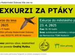 Exkurze do lesa za ptáky