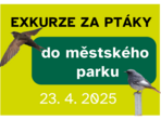 Exkurze za ptáky do městského parku