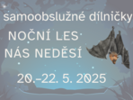 Noční les nás neděsí Noční les nás neděsí