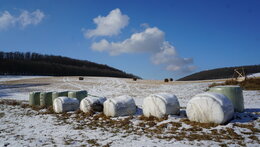 Selské fórum na Tetíně