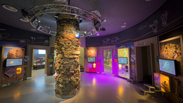 dolní expozice Domu přírody MK