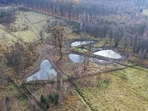 Nové tůně budované pro přírodu osídlili první obojživelníci