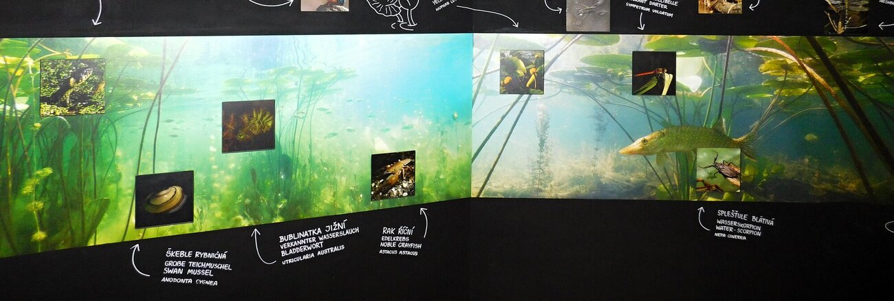 Expozice Sokolí svět