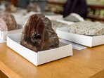 Den Geoparku UNESCO Český ráj na hradě Trosky