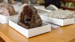 Den Geoparku UNESCO Český ráj