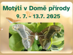 Motýli v Domě přírody Motýli v Domě přírody
