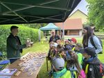 IMG_20250605_100221