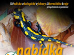 Nabídka programů 2025/2026