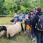 IMG_20250709_103328