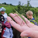 IMG_20250710_104742