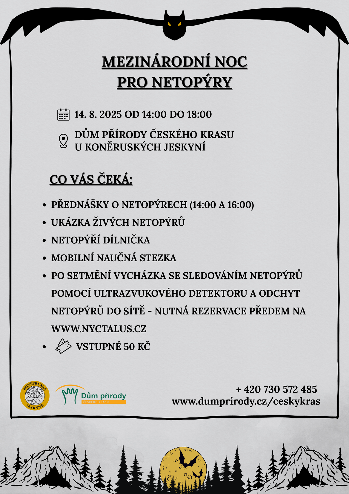 Noc s netopýry (1)