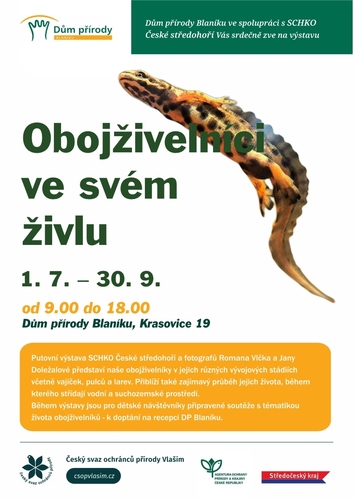 obojzivelnici v zivlu