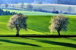 10_Annemarie Sander_Böhmischer und Oberpfälzer Wald