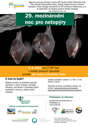 netopyri_noc_2025