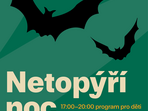Netopýří noc