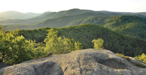 Jizerskohorské bučiny_foto ZPatzelt Jizerskohorské bučiny_foto ZPatzelt