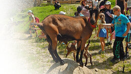 Odpolední setkání na farmě pro veřejnost - unor 2026