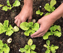 Záznam celé obrazovky 25.8.2025 143649.bmp Záznam celé obrazovky 25.8.2025 143649.bmp