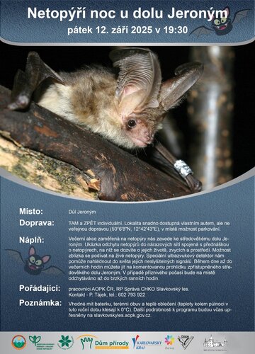 Netopýří noc v Jeroným 2025