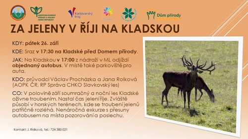 Za jeleny na Kladskou